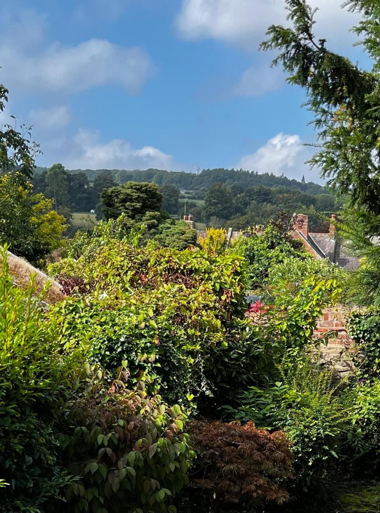 Flower Cottage By Ludlow Castle With Onsite Parking Dış mekan fotoğraf